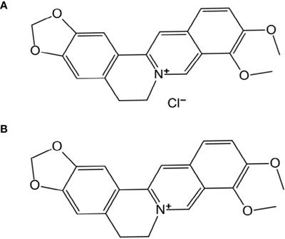 A Potential Combination Therapy of Berberine Hydrochloride With Antibiotics Against <mark class="highlighted">Multidrug-Resistant Acinetobacter</mark> baumannii